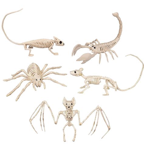 Buy Halloween Animal Skeletons 5 Pack (9"-15" Size) w Bendable Tails ...