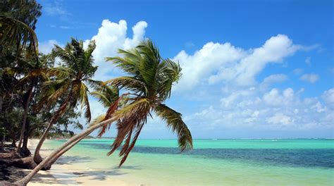 Bavaro Beach - Punta Cana Attraction | Expedia.com.au