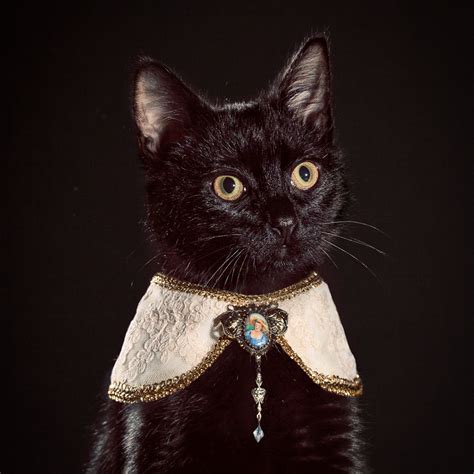 The Elizabethan Cat Collars - Ad Campaigns