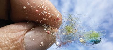 Microplastics and human health | Science