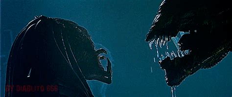 alien vs predator xenomorph gif | WiffleGif