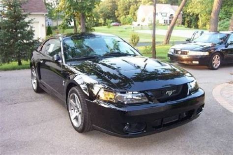 Buy used 2004 SVT Cobra Mustang Terminator in Grosse Pointe, Michigan, United States, for US ...