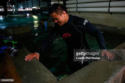 New Zealand All Blacks National Aquarium Visit Photos and Premium High Res Pictures - Getty Images