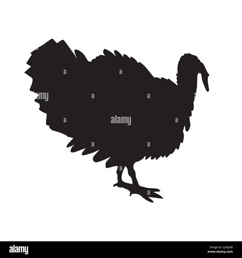 Vector black turkey silhouette isolated on white background Stock ...