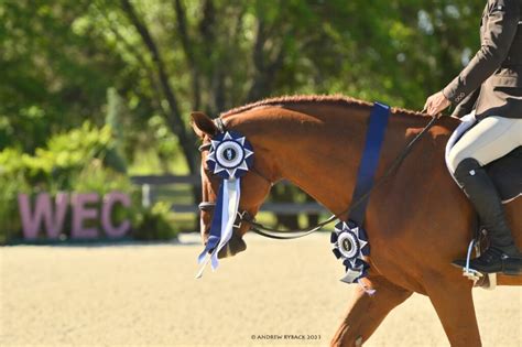 World Equestrian Center Congratulates Circuit Award Winners - World ...