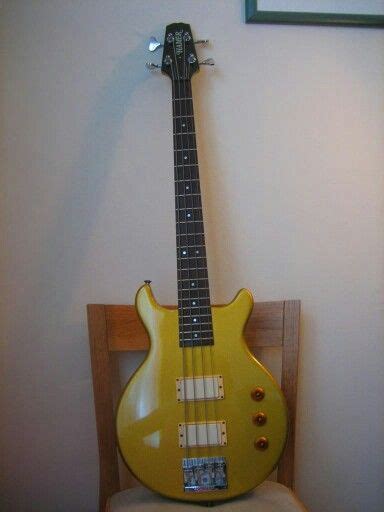 Howie Epstein's Bass Guitar Sale. | Guitars for sale, Bass guitar, Guitar