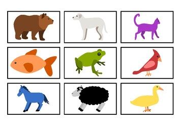 Brown Bear Cards - Learn Colors and Animals by EFL with Mr W | TPT