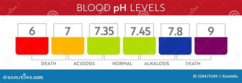 Human blood ph range. stock vector. Illustration of alkali - 228475289