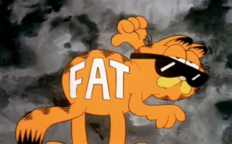 Fat Garfield GIF - Find & Share on GIPHY