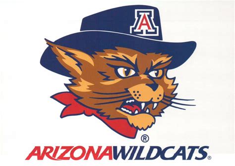 Wilbur Wildcat, University of Arizona Mascot, AZ Wildcats Football etc. Postcard | eBay