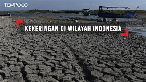 Kekeringan di Wilayah Indonesia - Video Tempo.co