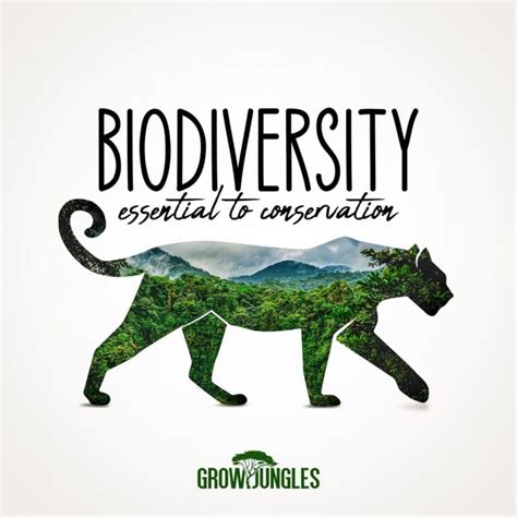 Biodiversity As The Vital Building Block For Sustaining A Healthy ...