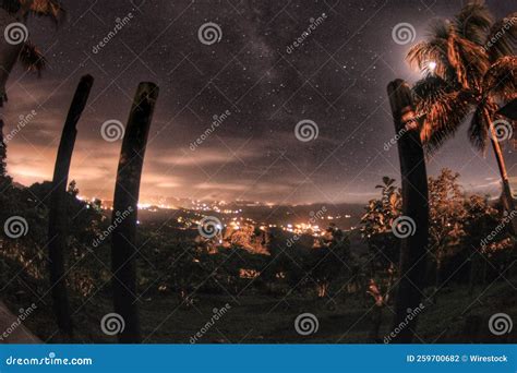 Fish Eye Effect of Green Tropical Trees Against a Dark Starry Night Sky Stock Photo - Image of ...