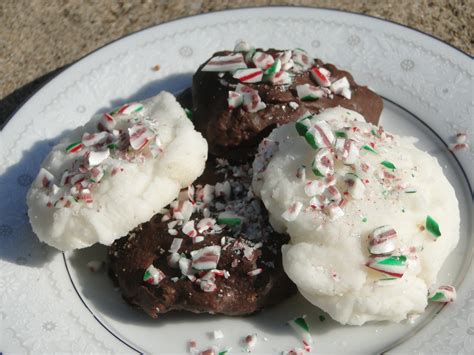 Peppermint Patty Recipe – with a Surprise Ingredient! - Renaissance Mama