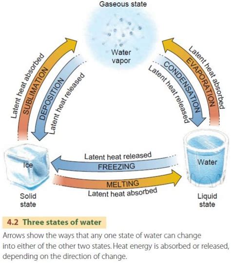 Water in the Environment