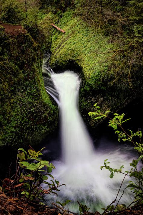 Punch Bowl Falls Photograph by Francis Sullivan | Fine Art America