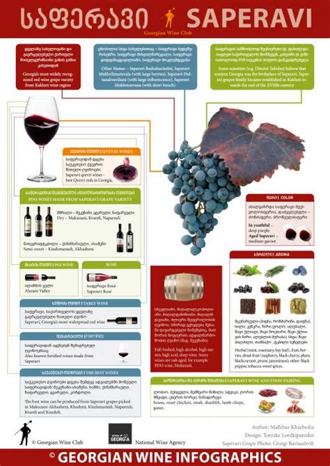 Wine Infographics | Marani