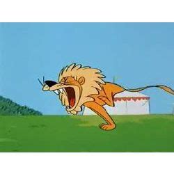 A lion escapes from the zoo