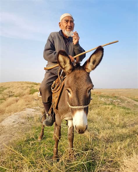 Old man riding a donkey, Jalal-Abad Region on the way to Uzgen ...