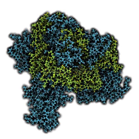 Ebola Virus Glycoprotein GP, Molecular Structure. Occurs As Spikes on ...