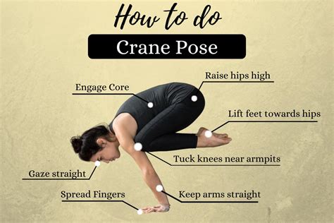 Crane Pose (Bakasana): Easy methods to Do, Advantages and Precautions ...