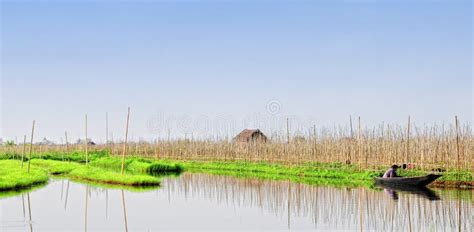 Floating Fields on the Lake in Inlay, Myanmar Editorial Photo - Image of floating, wooden: 74558686