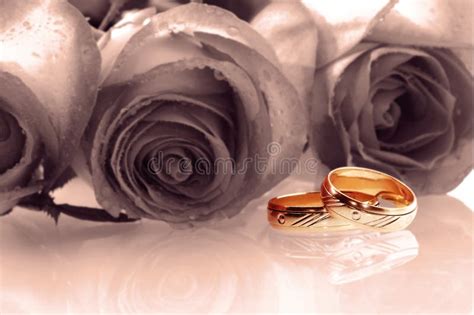 Two wedding rings stock image. Image of love, happy, married - 4099517