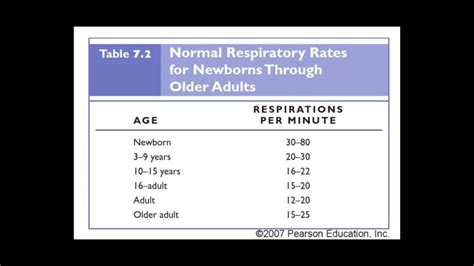 Understanding Newborn Respiratory: A Comprehensive Guide To Normal ...