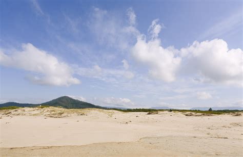 Seven Mile Beach National Park | NSW National Parks