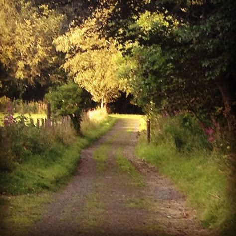 Plean country park - summers night | Country park, Country roads, Country