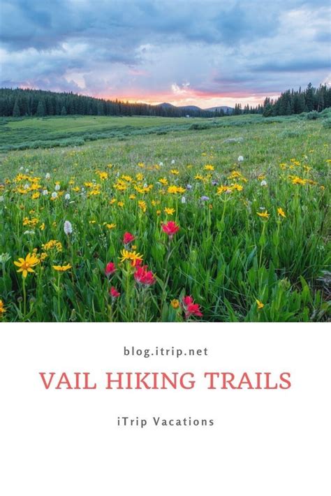 Vail Hiking Trails: Explore Nature's Beauty