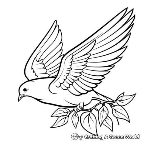 Peace Dove Coloring Pages - Free & Printable!