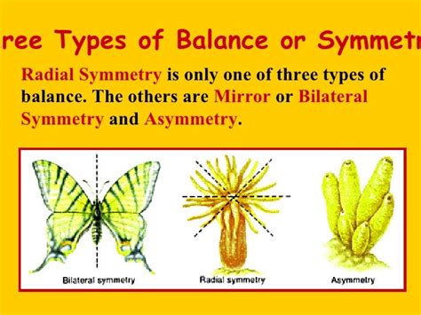 Radial symmetry