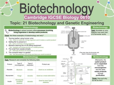 Biotechnology - Examples and fermentation | Teaching Resources