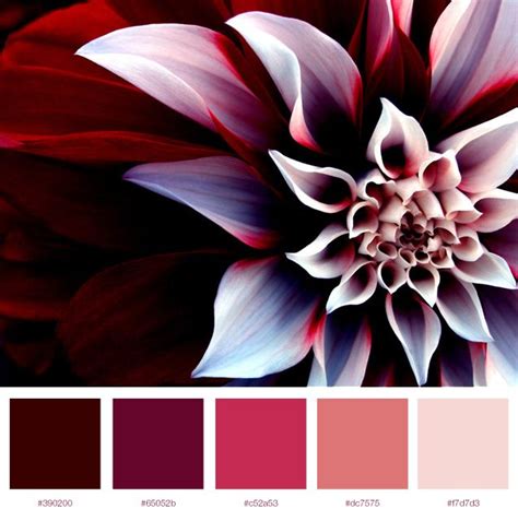 Loading | Colorful flowers, Mood colors, Color inspiration