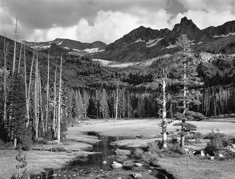 Ansel Adams' Love Affair with Yosemite Celebrated in New Book