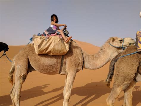 Camel Riding Tips for Desert Adventures | Parenting To Go