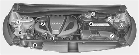 Kia Sportage: Engine compartment - Your vehicle at a glance - Kia ...