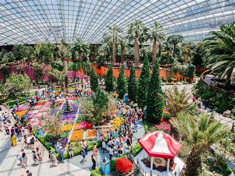 Gardens By The Bay Cloud Forest