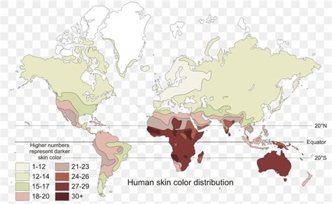 Human Skin Color Genetics