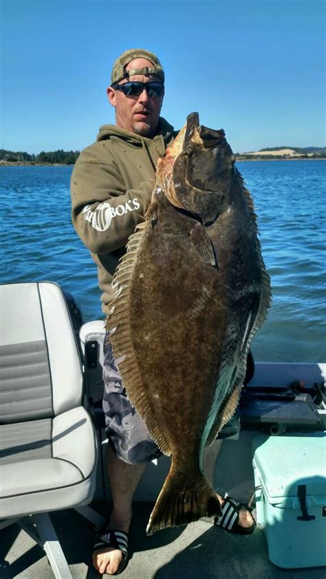 Coastal Casts: California halibut | Fishing | nrtoday.com