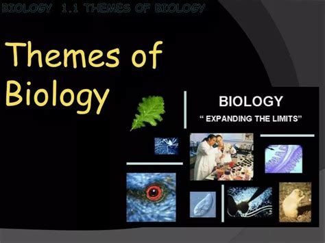 PPT - Biology 1.1 Themes of Biology PowerPoint Presentation, free download - ID:2855645