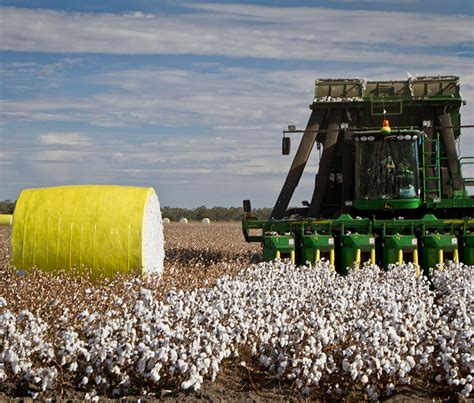 Cotton Australia | How is cotton grown?