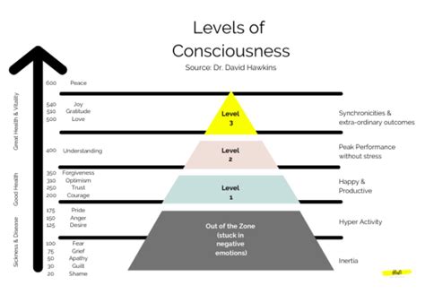 Hawkins map of consciousness test - vseraprint