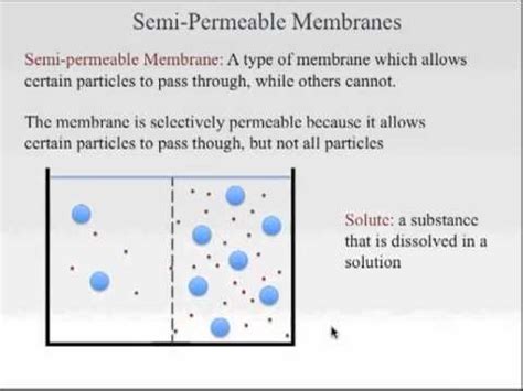 Semi Permeable Membranes.mov - YouTube