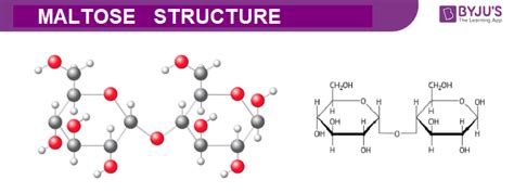 Maltose Molecular Structure