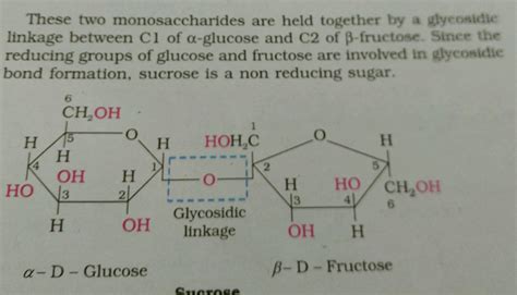 These two monosaccharides are held together by a glycosidie linkage ...