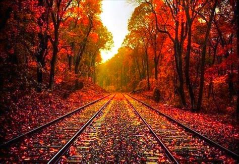 Beautiful Fall Pictures | Autumn Wallpaper