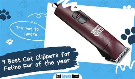 The 9 Best Cat Clippers for Feline Fur in 2023