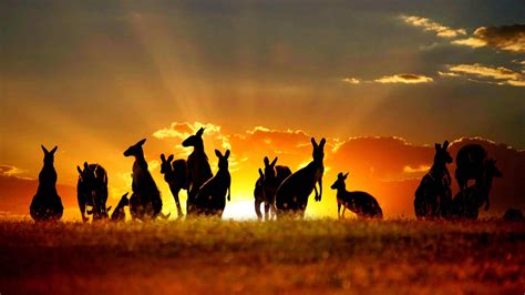 Australia Wallpapers: The Land Of Desert And Rainforests In Wallpapers